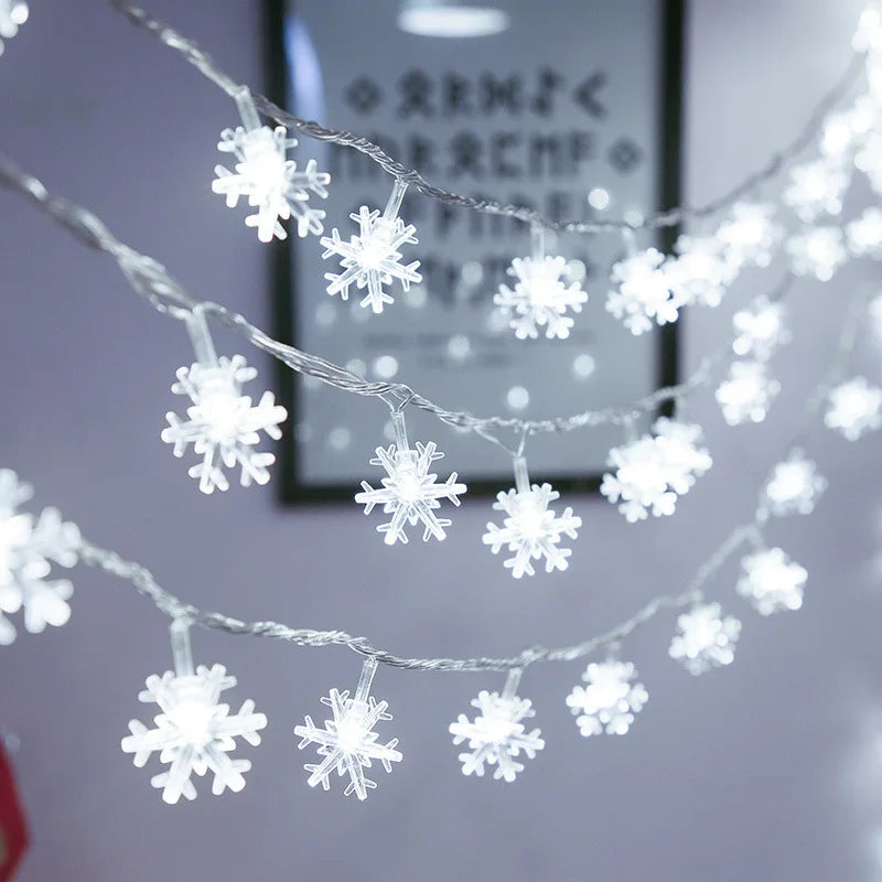 Dual Power Fairy Noble